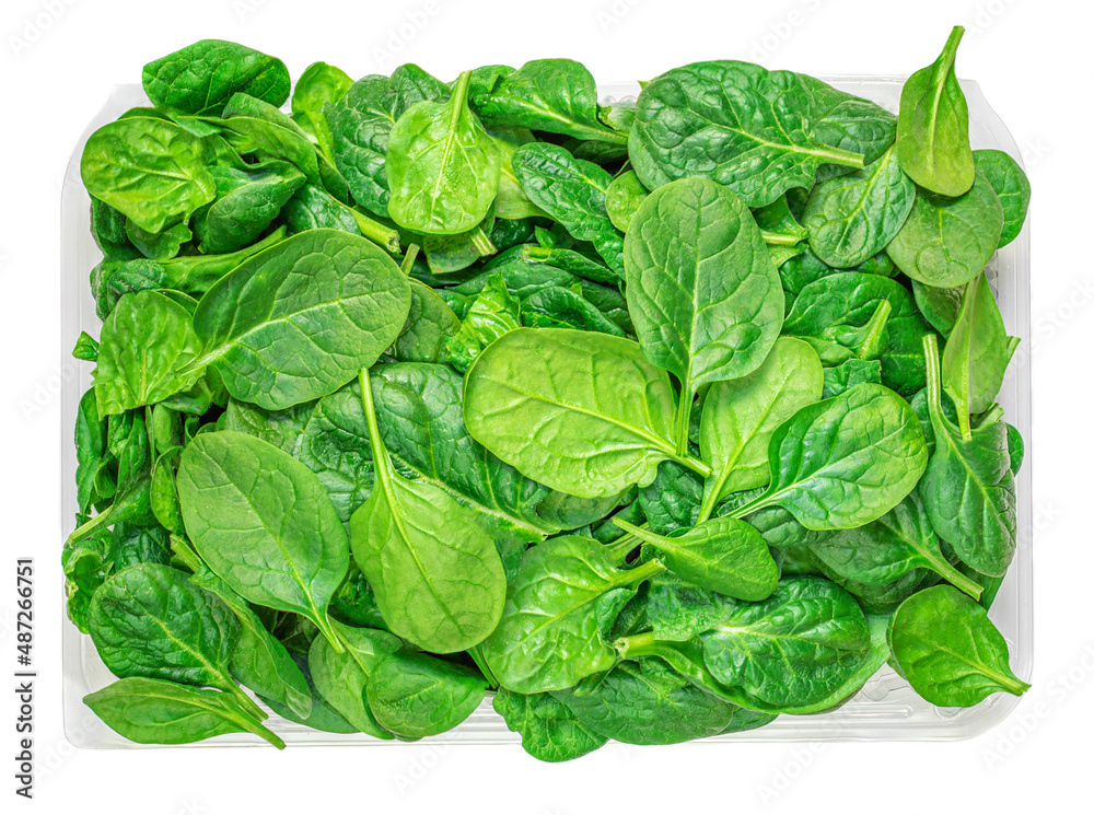 Spinach leaves isolated on white background. Fresh Spinach in a plastic conteiner . Top view. Flat lay.. Spinach leaves isolated on white background. Fresh Spinach in a plastic conteiner . Top view. Flat lay..