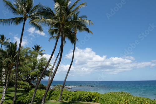 Scenic Hawaiian landscape. Scene Beach on the Island of Maui  Hawaii.