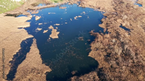 Blue lake surrounded by yellow grass - reeds and rush encircling a pond by Sasko lake in Montenegro. Aerial drone view of a landscape with marsh vegetation on a sunny day. photo