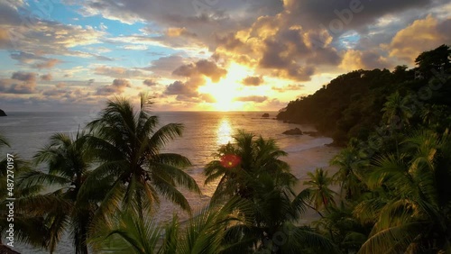 Palm trees and sunset in Costa Rica photo