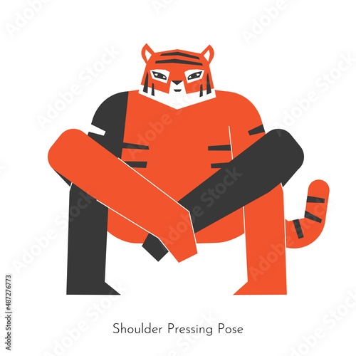 Vector concept with animal cartoon character learning yoga practice - Bhujapidasana. Indochinese tiger does Shoulder Pressing Pose. Flat illustration of arm balancing sport exercise