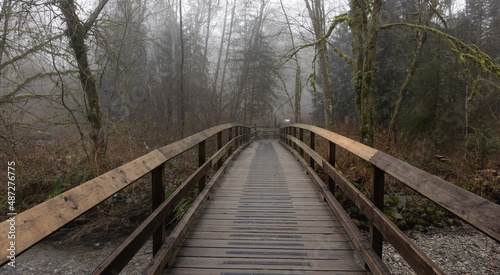 Path in the Canadian rain forest with green trees. Early morning fog in winter season. Tynehead Park in Surrey, Vancouver, British Columbia, Canada. © edb3_16