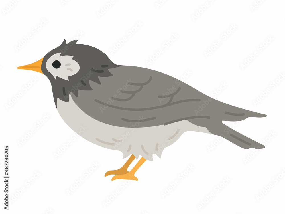 Obraz premium 横から見た、ムクドリのイラスト