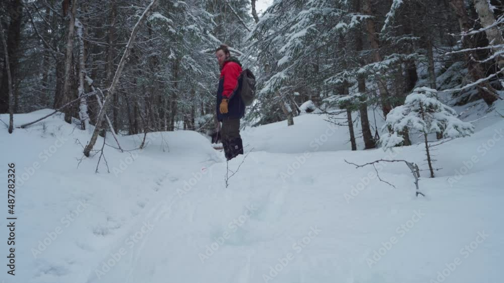 Hiker And Alaskan Malamute Walking On Snowy Downhill At Winter Through Forest. - static Hiker And Alaskan Malamute Walking On Snowy Downhill At Winter Through Forest. - static