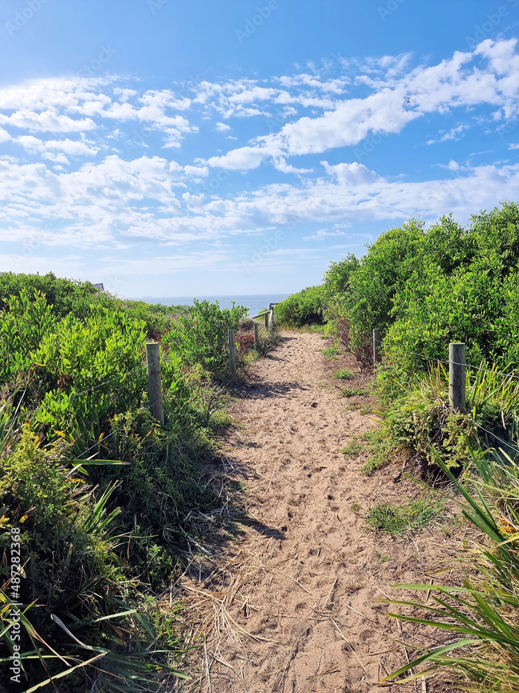 Sandy Access Track to Hams Beach Newcastle Australia. Through sand dunes with a blue sky and clouds Sandy Access Track to Hams Beach Newcastle Australia. Through sand dunes with a blue sky and clouds