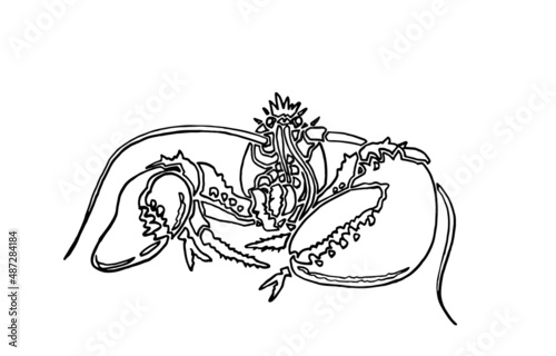 Graphical sketch of lobster isolated on white background,vector sea-food element  for coloring doodle drawing