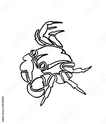 Graphical sketch of crab isolated on white background,vector sea-food element for coloring doodle drawing