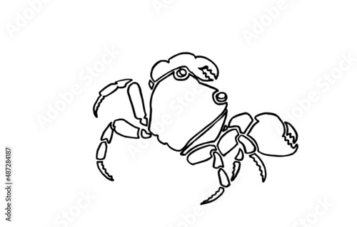 Graphical sketch of crab isolated on white background,vector sea-food element for coloring doodle drawing