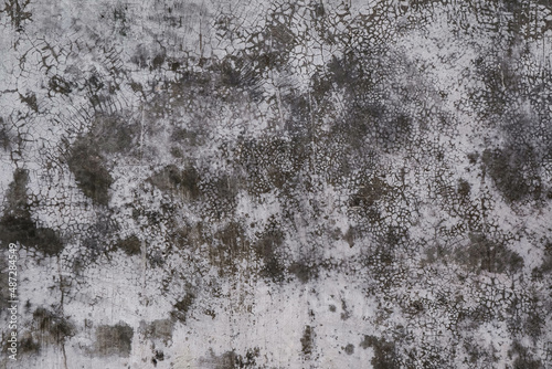 Textured dirty rough cement concrete background. Grunge wall for pattern and background.