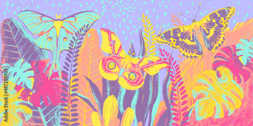 Children s bright colorful butterflies with tropical plants. Design for card  postcard  mural  wallpaper  photo wallpaper  painting  book illustration. Design for a nursery  teenage room.