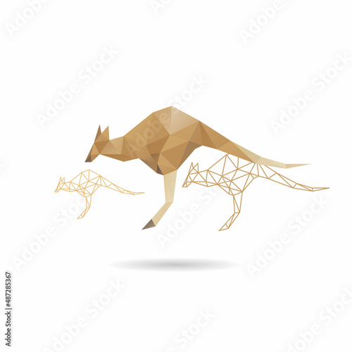 Kangaroo abstract isolated on a white backgrounds, vector illustration