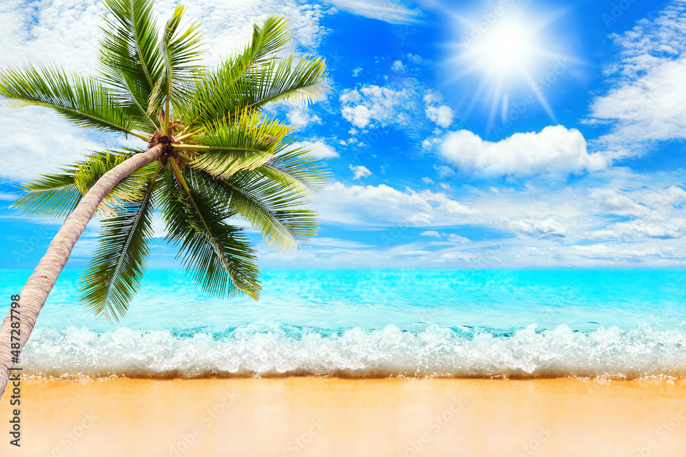 Wallpaper HD Beautiful Sandy Beach Sea View Beach Coconut Trees 3D