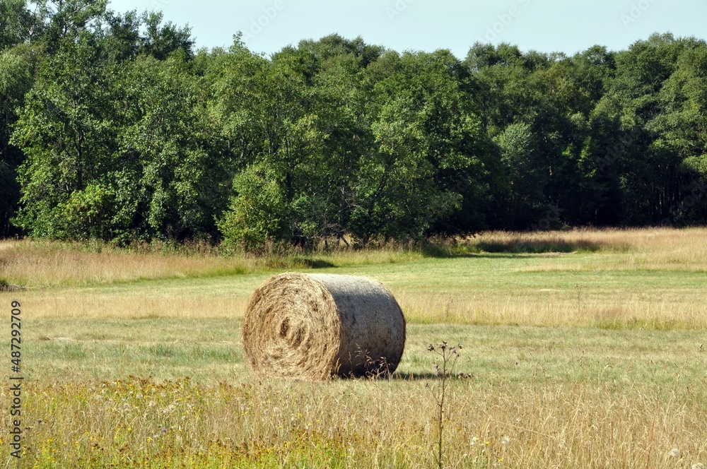 Das schwarze Moor in der Rhön