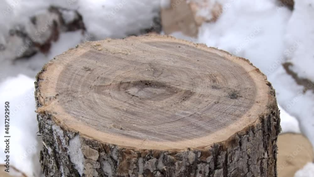A snow-covered, blade of an old cleaver or axe that is leaning its blade on top of a chock of oak tree. The moment of splitting the wood in half where blade got stuck and then was pulled out. Winter. A snow-covered, blade of an old cleaver or axe that is leaning its blade on top of a chock of oak tree. The moment of splitting the wood in half where blade got stuck and then was pulled out. Winter.