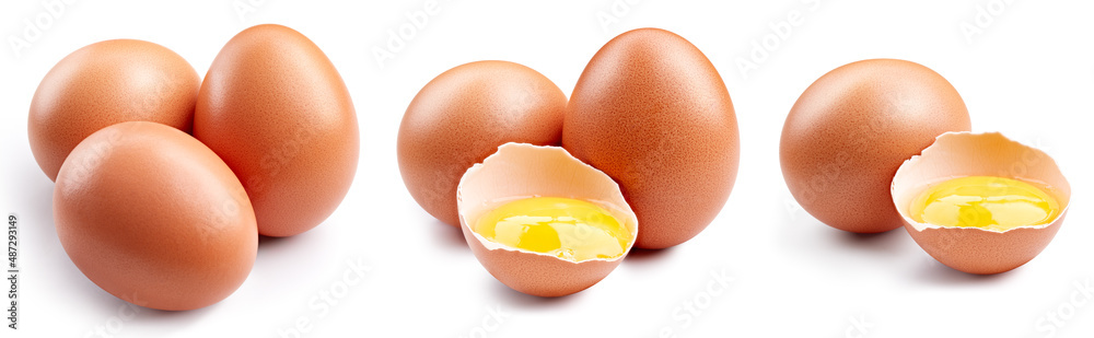Chicken egg isolated clipping path Chicken egg isolated clipping path