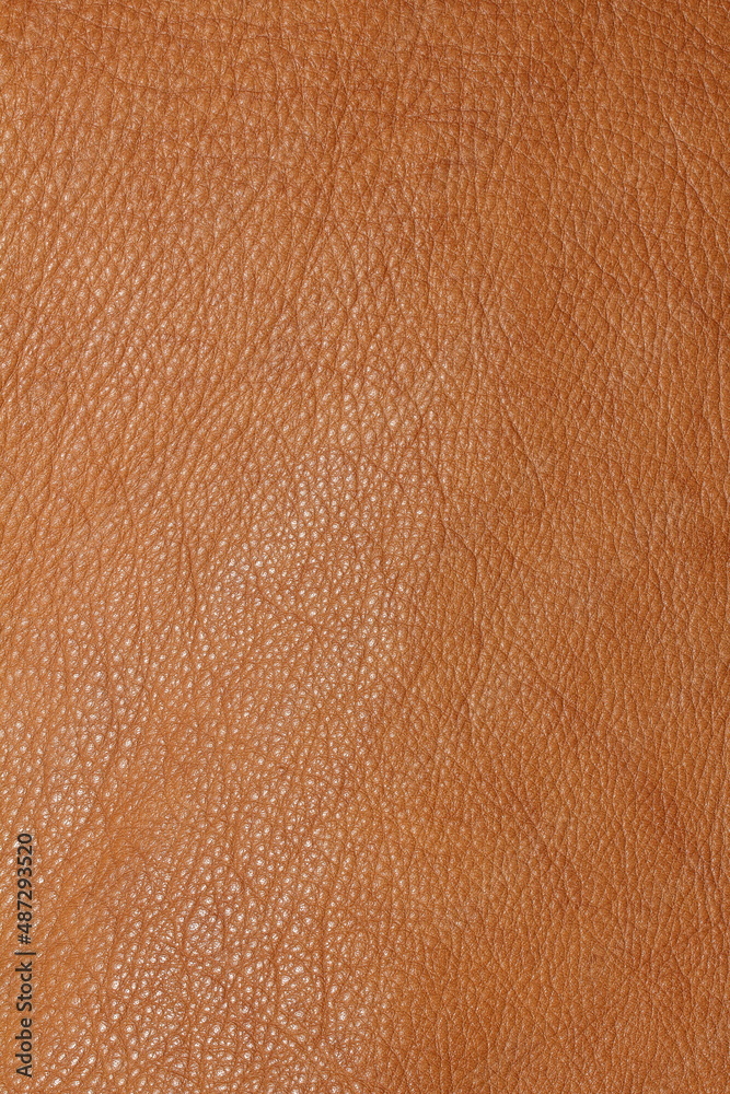Fototapeta premium the texture of genuine calfskin of the highest quality of dressing