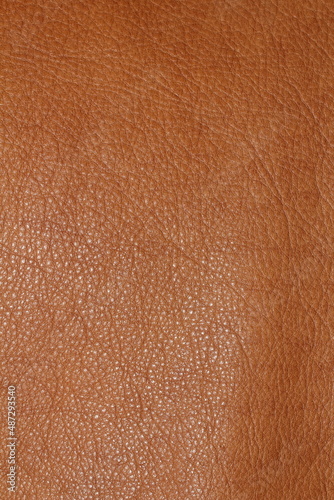 the texture of genuine calfskin of the highest quality of dressing