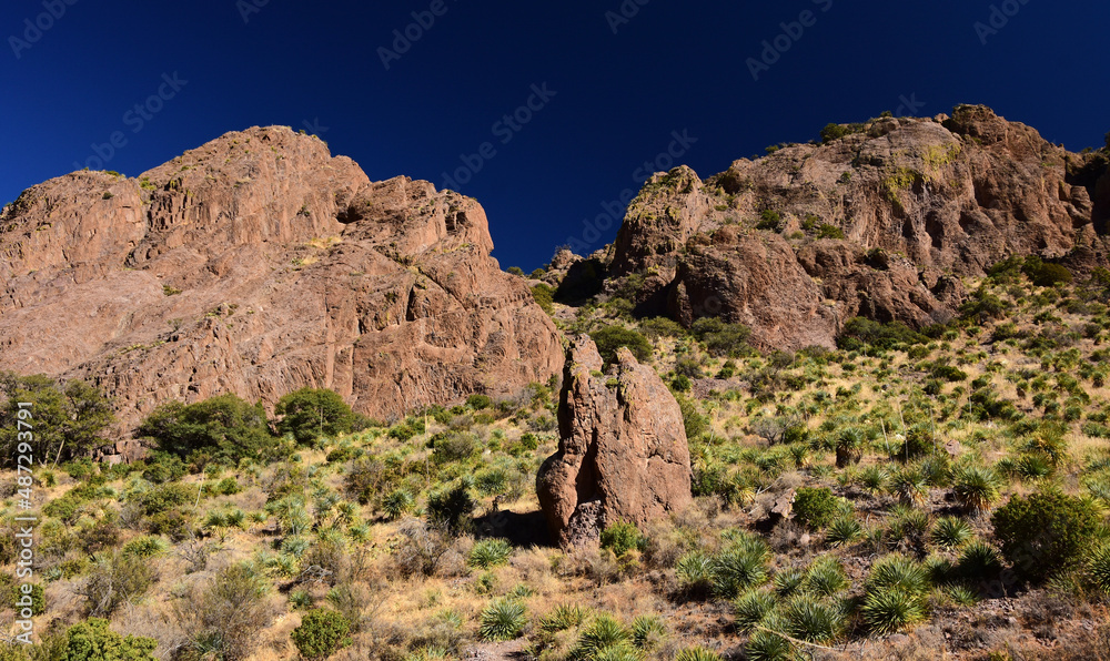 Fototapeta premium hiking the scenic soledad canyon trail on a sunny winter day in the organ peaks-desert peaks national monument near las cruces in southern new mexico