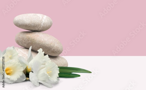 Background for cosmetic products of natural color. Stone podium with white flowers.