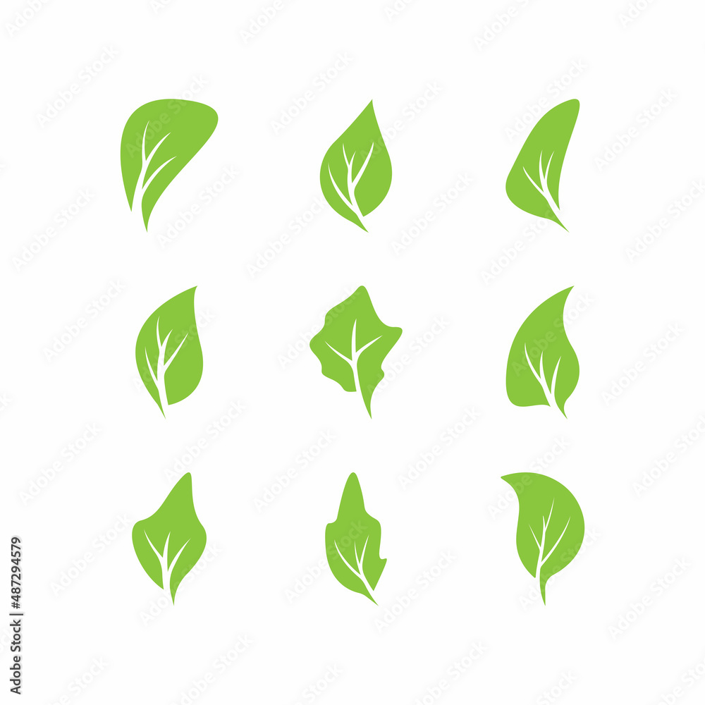 Green leaves logo.green leaf icons set vector template Green leaves logo.green leaf icons set vector template