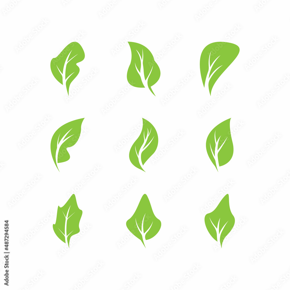 Green leaves logo.green leaf icons set vector template Green leaves logo.green leaf icons set vector template