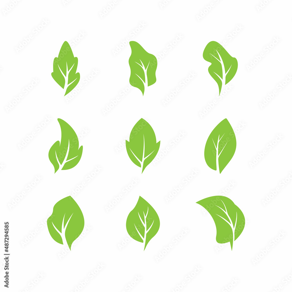Green leaves logo.green leaf icons set vector template Green leaves logo.green leaf icons set vector template