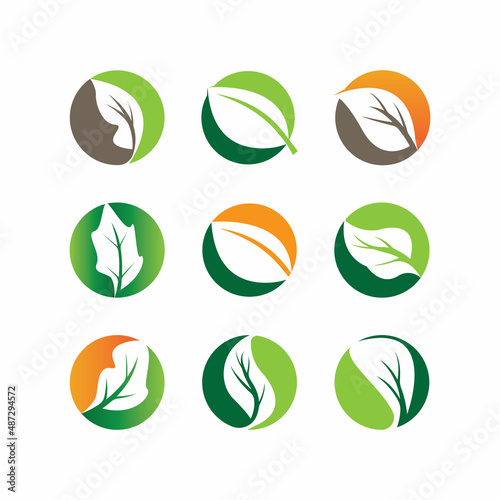 Green leaves logo.green leaf icons set vector template