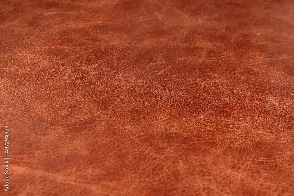 calfskin texture calfskin texture