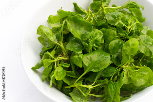 Watercress in bowl on white background