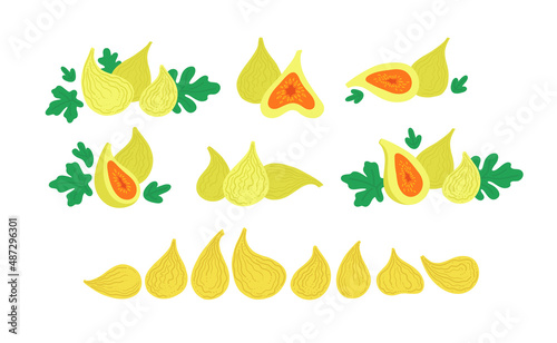 Green figs with leaves. Fresh and dried figs. Vector flat illustrations set isolated on white.