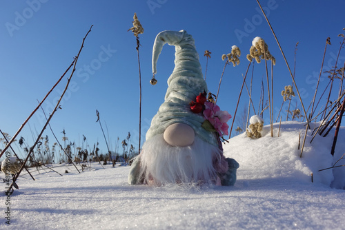 A toy gnome in a cap on the snow, a winter toy gnome sits in a white snowdrift.