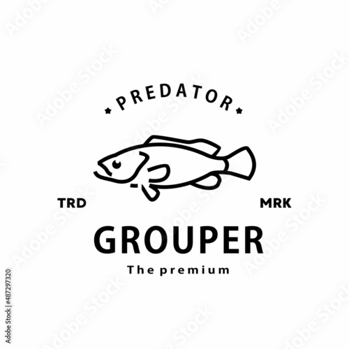 vintage retro hipster grouper logo vector outline monoline art icon photo