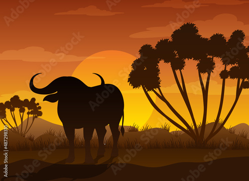 Buffalo silhouette at savanna forest