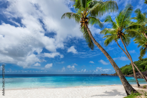 Beautiful beach with coconut palm trees and turquoise sea in exotic Caribbean island.