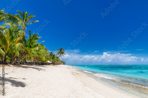 Coco palm trees in Paradise beach and tropical sea in Mauritius island. 
