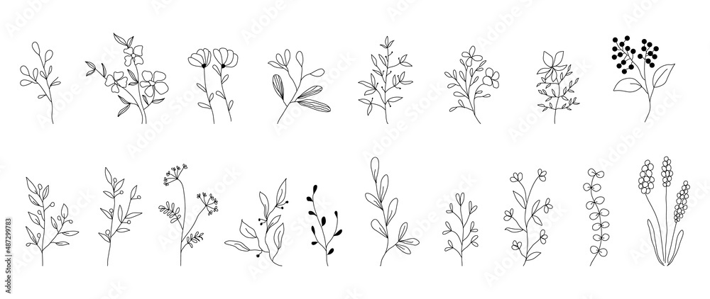 Minimalist flowers and botanic collection. Hand drawn floral branch, leaves herbs and wild plants set in line style. For decoration, wedding and invitation card, design project.