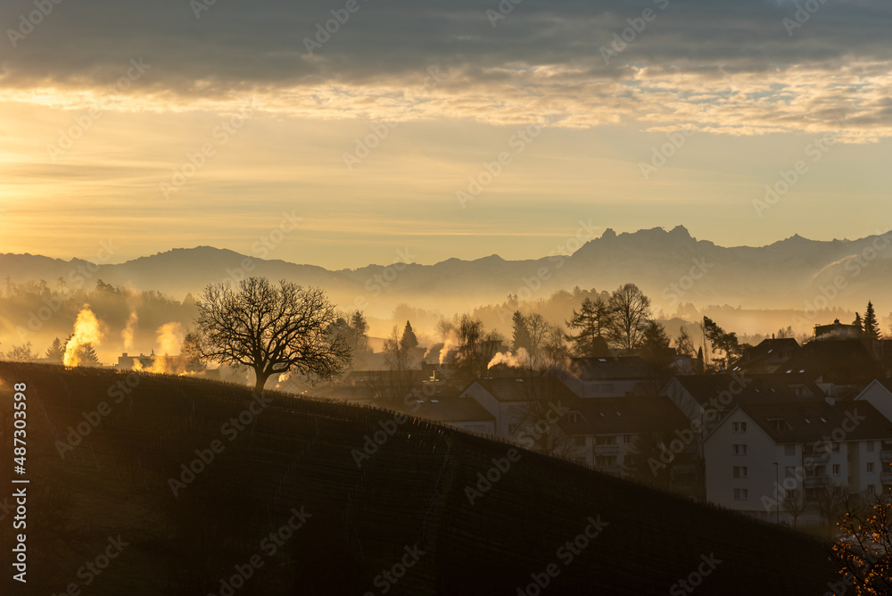 Winter sunrise in the Zurcher Oberland region with the Alps in the background