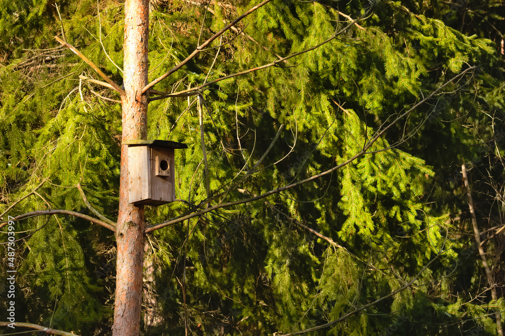 Nesting box for birds in the park. Nesting box for birds in the park.