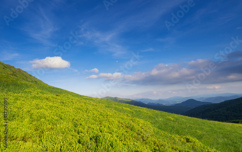 Green Bieszczady  View from Bukowe Berdo sunny day  Spring in the mountains