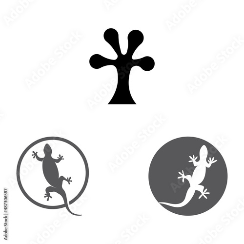 home lizard logo design, with vector logo design. type of lizard or gecko logo