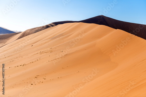 Big perfect duna on the blue sky background, Namibia.