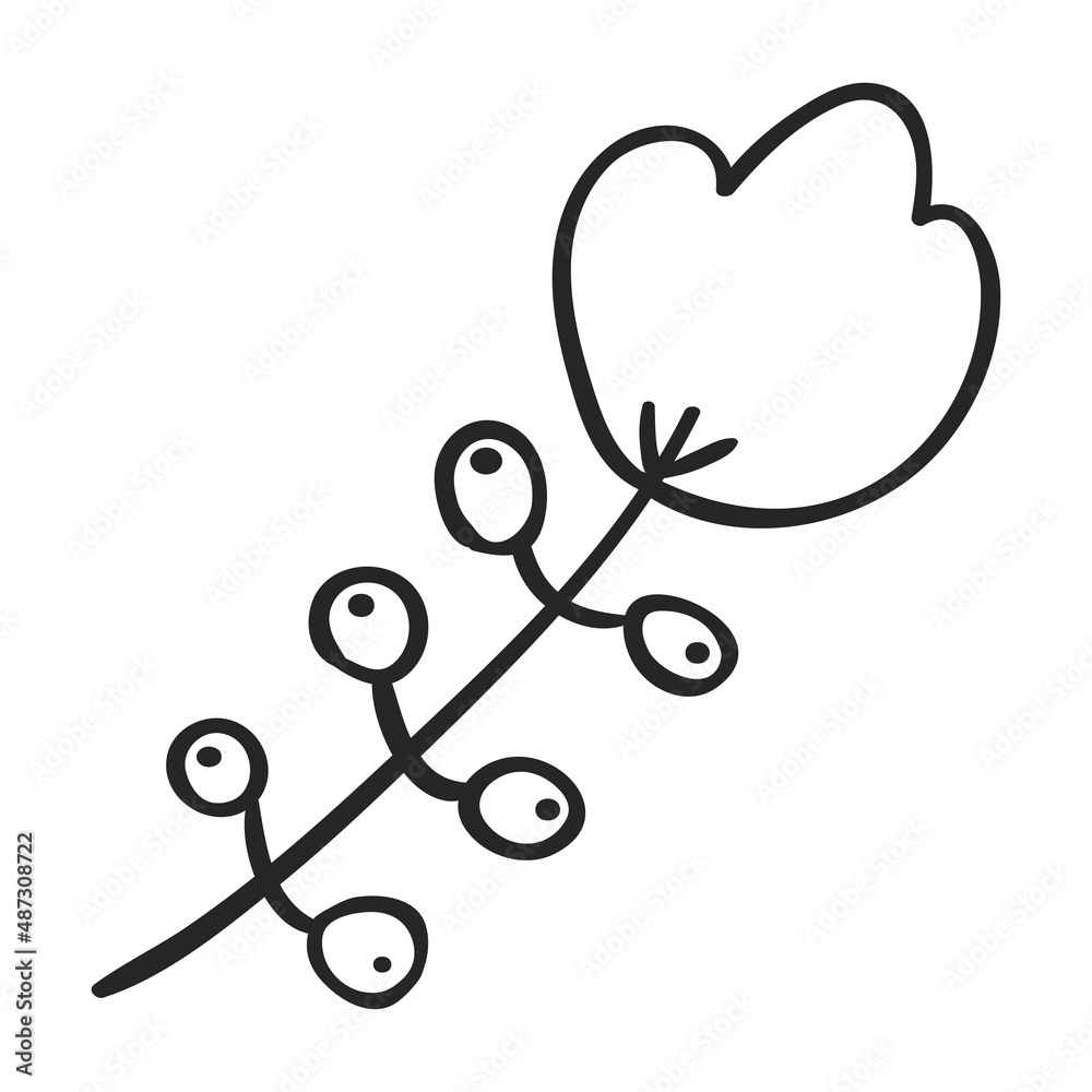 Plant Outline Illustration Isolated on white background