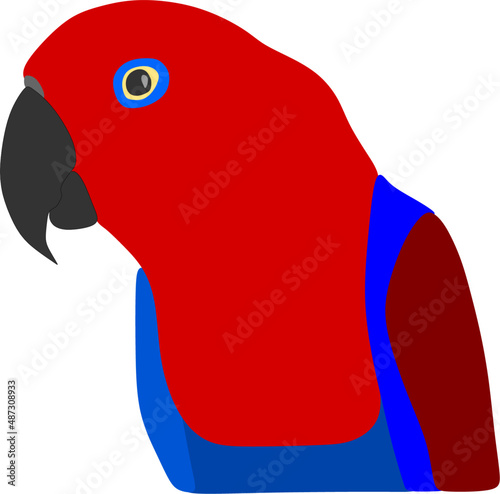 Cartoon illustration of a Female captive red and blue eclectus parrot (Eclectus roratus)  photo