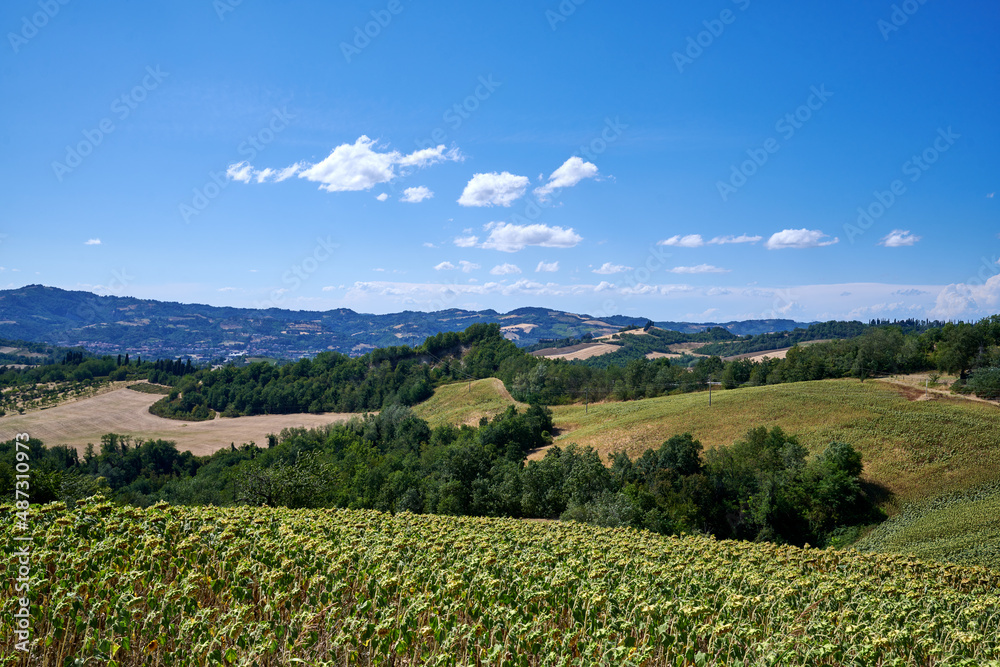 Italian landscape with mountains and trees