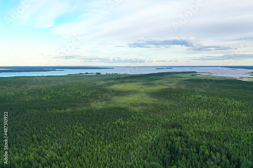 summer forest top view drone  background green trees panorama landscape