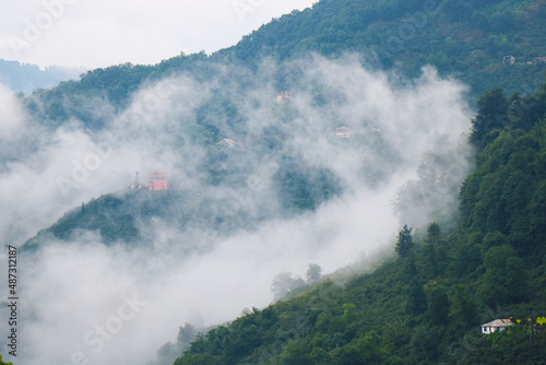 Village and nature scenery in the fog