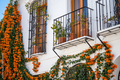 Façade of Andalusian houses. White wall painted with flowers in balcony. Typically Andalusian architecture. Plant hanging on walls, with orange trumpet flowers.  photo