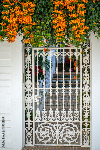 Fototapeta Naklejka Na Ścianę i Meble -  Beautiful streets of Nerja city - Malaga - Spain. Typically Andalusian village with white houses and small streets. Touristic travel destination ln Costa del Sol. Flower pot on the wall. Winter time