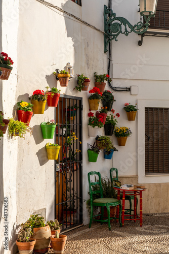 Fototapeta Naklejka Na Ścianę i Meble -  Beautiful streets of Nerja city - Malaga - Spain. Typically Andalusian village with white houses and small streets. Touristic travel destination ln Costa del Sol. Flower pot on the wall. Winter time