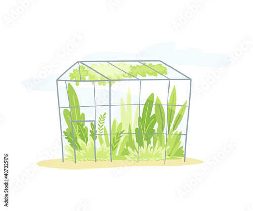 Gardening with Crop Growing in Greenhouse as Plant Cultivation and Agriculture Vector Illustration